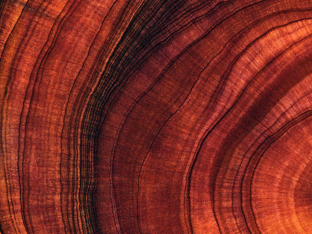 istock Full frame shot of wooden floor 2206850487