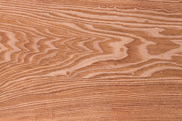 Beautiful wood grain. Wood background. Wood grain pattern texture backgrounds