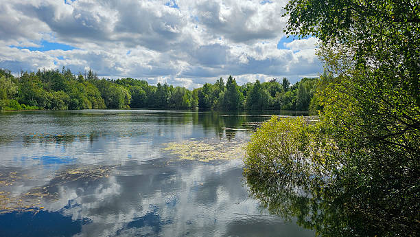 istock Peaceful lake surrounded by lush green trees under a dramatic sky in Denmark 2206854607