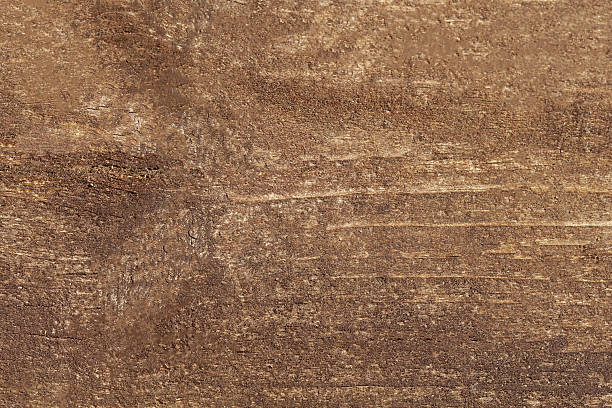 istock Dark brown background with wood texture 2206856602