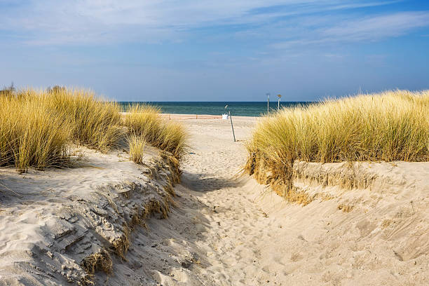 istock Dune Passage to the Beach 2206857994