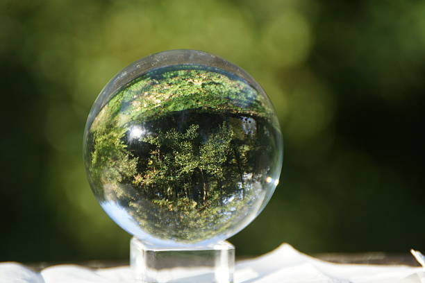 istock Crystal ball with trees in the background. 2206858628