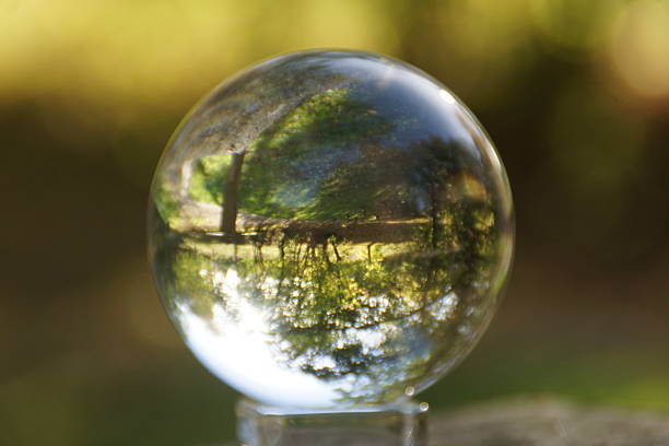 istock Crystal ball with trees in the background. 2206858630