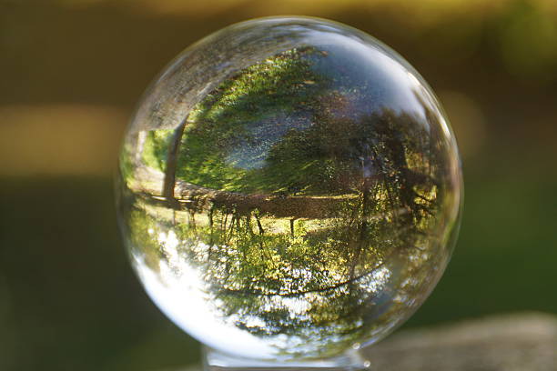 istock Crystal ball with trees in the background. 2206858642