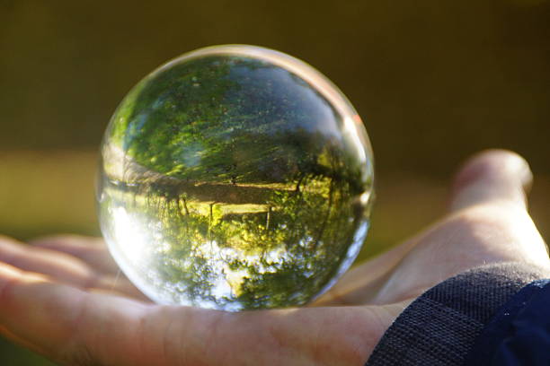 istock Crystal ball with trees in the background. 2206858653