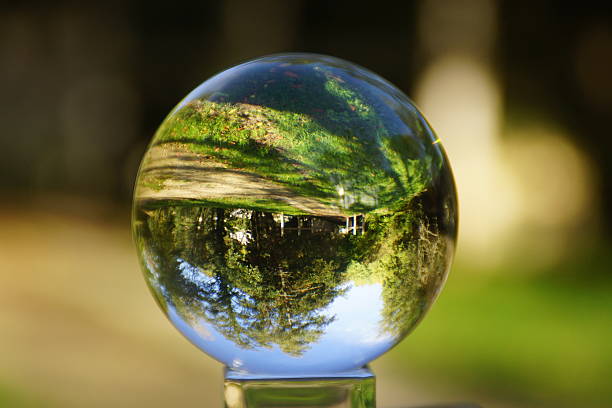 istock Crystal ball with trees in the background. 2206858654