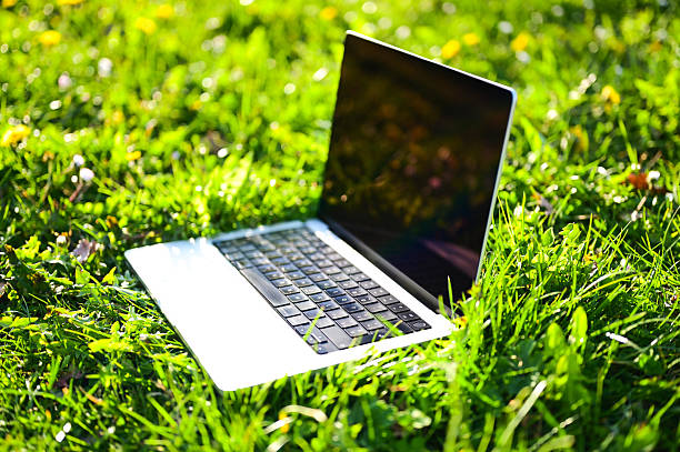 Modern laptop on green grass in a sunny day