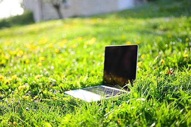istock Modern laptop on vibrant green grass in sunny meadow 2206861798