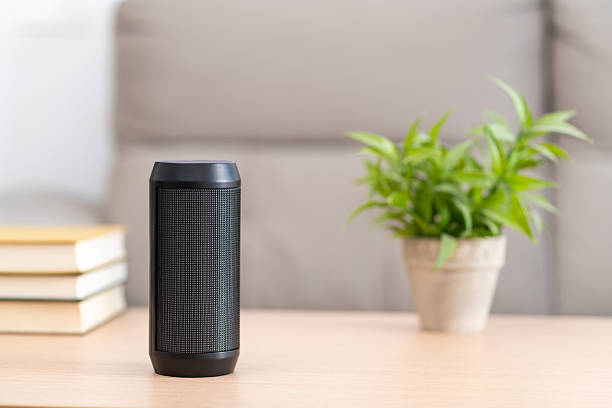 istock Portable wireless speaker and plant at home 2206862099