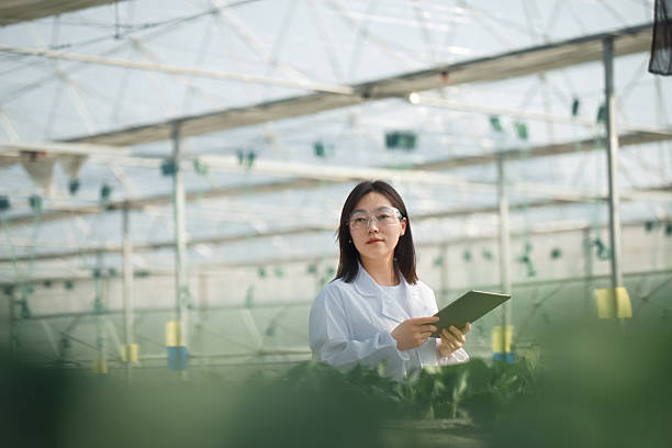 istock Asian female scientist is using a digital tablet  in the greenhouse 2206863610
