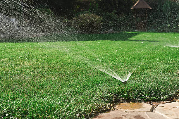 istock Green grass being watered by sprinkler system 2206863779