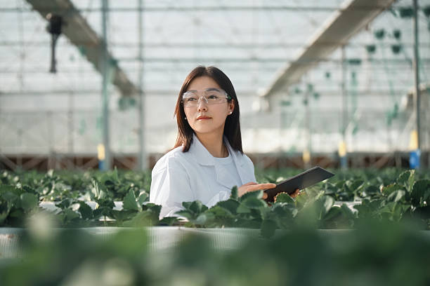 Asian female scientist is using a digital tablet  in the greenhouse