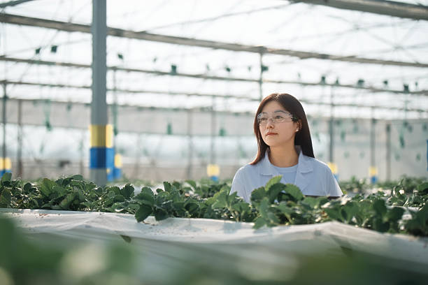 istock Asian female scientist is using a digital tablet  in the greenhouse 2206864168