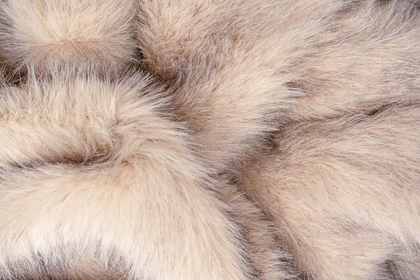 istock Texture of faux fur as a background, top view. 2206866449