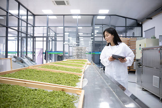 asian female working on digital tablet in tea factory
