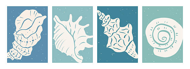 Set of minimalist abstract posters with hand drawn seashells.  Vintage marine silhouettes in pastel colors. Collage style. Tropical beach shells. Summer coastal design for trendy modern prints.