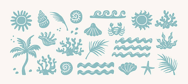 Summer boho vintage sticker set. Hand drawn palm tree, sun and sea, seashells, wave, coral, crab in naive groovy style. Tropical surf club concept, ocean, vacation and travel. Vector collage elements.