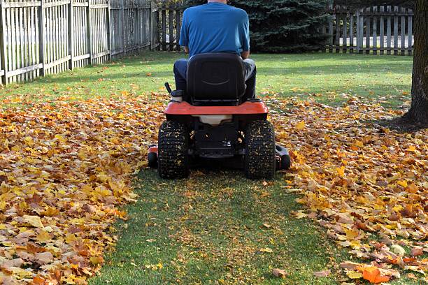 A man in a blue shirt rides a lawn tractor as he mulches leaves into the lawn to provide an environmentally friendly method to return nutrients to the soil.