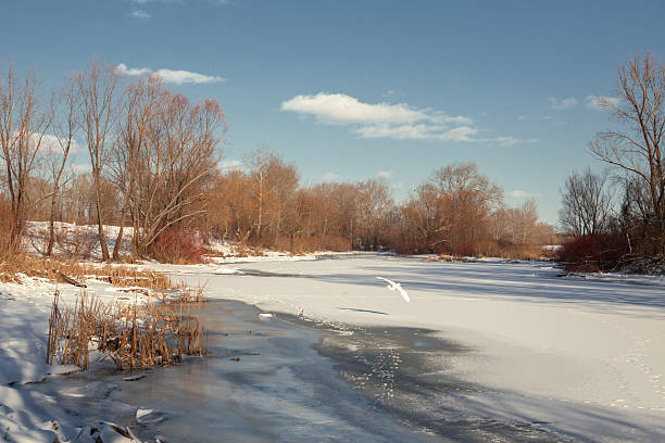 Winter landscape on a sunny day
