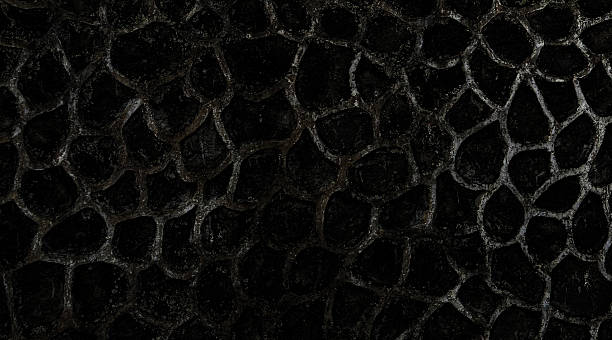 istock Smooth wooden texture with visible knots and grains. Modern black background with elegant stone texture. 2206875937
