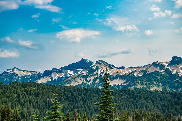 istock Scenery landscape of mountain. Scenery coniferous forest. Pine tree and mountain forest landscape. Mountain landscape. Forest nature mount. Nature in mountain countryside. Breathtaking wilderness 2206877181