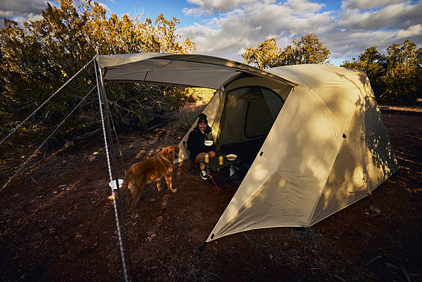 Woman camps in tent with dog, Arizona