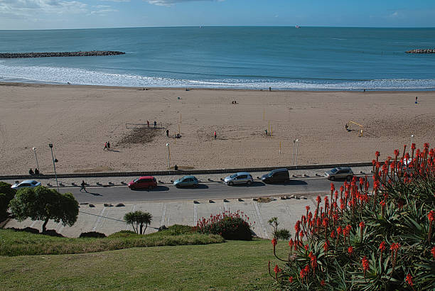 istock Panoramic view of Mar del Plata from above. On the right, a vibrant blanket of ruby-colored flowers contrasts with the winter landscape 2206879875