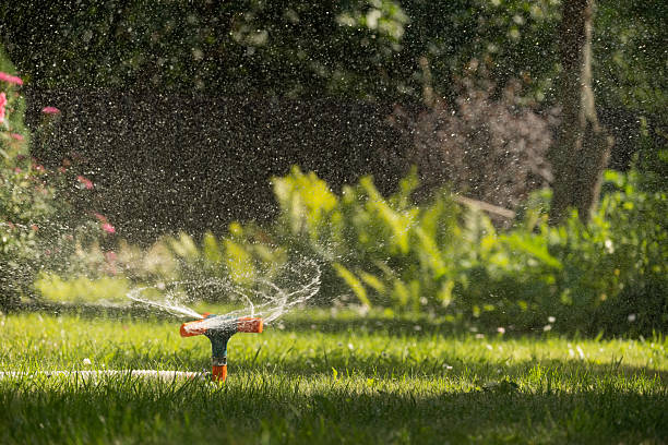 istock Green lawn automatic irrigation system in park. Watering lawn at heat summer. 2206885179