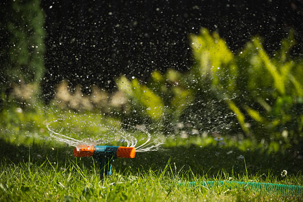 istock Green lawn automatic irrigation system in park. Watering lawn at heat summer. 2206885180
