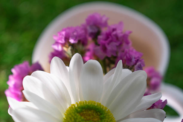 A white cup with colorful, circular patterns holds coffee on a grassy surface. Next to it, a vivid yellow notebook is adorned with a white flower, possibly a daisy. A lace-bordered fabric adds a delicate backdrop, creating a charming, serene setting, suggesting a casual, outdoor break or planning session.