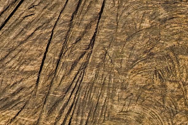 istock Background of an old pine cut. A cut from a handsaw. Concept. Ecology. 2206892389
