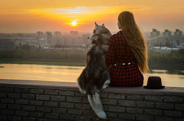 istock Young woman and husky enjoy sunset over river from roof 2206898882