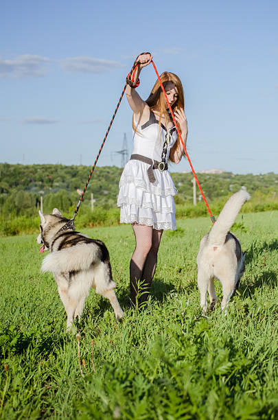 istock Two huskies walk on lush green meadow under clear sky 2206898918