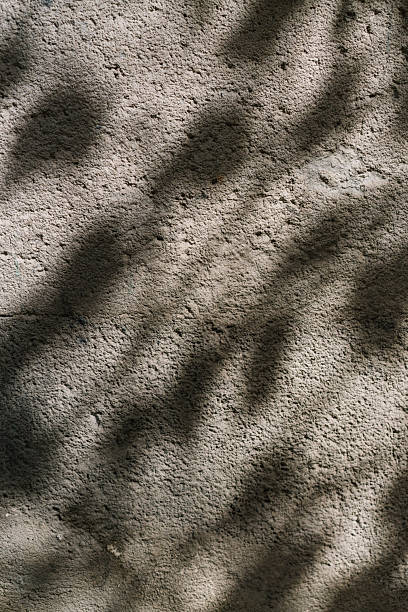 istock Shadows of trees and leaves on a cement wall 2206899114