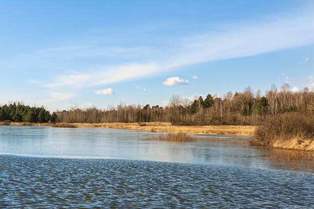 istock A serene landscape featuring a tranquil river bordered by golden grasses and a backdrop of lush green trees under a clear blue sky, perfect for nature lovers. 2206904266