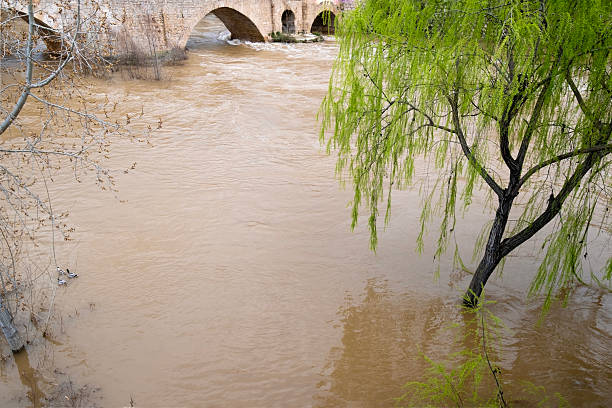 In Tordesillas Valladolid-Spain the flow of the Duero river has flooded the banks of the river flooding a public park of which only a fountain can be seen. Due to the winter rains the flow of the Duero river increased considerably in its passage through the medieval bridge of Tordesillas.