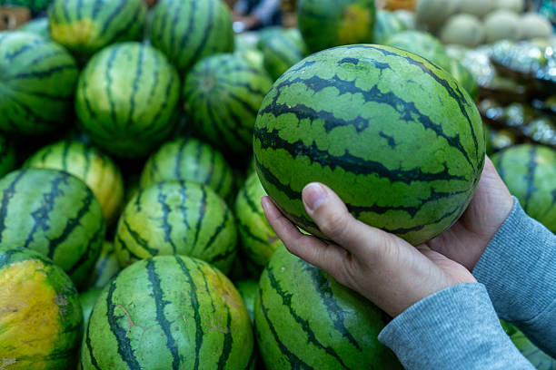istock ands holding a fresh watermelon at a fruit market 2206913769