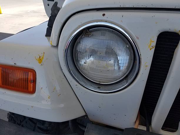 istock Dead Bugs Splattered All Over Front of Vehicle that Needs A Car Wash 2206921890