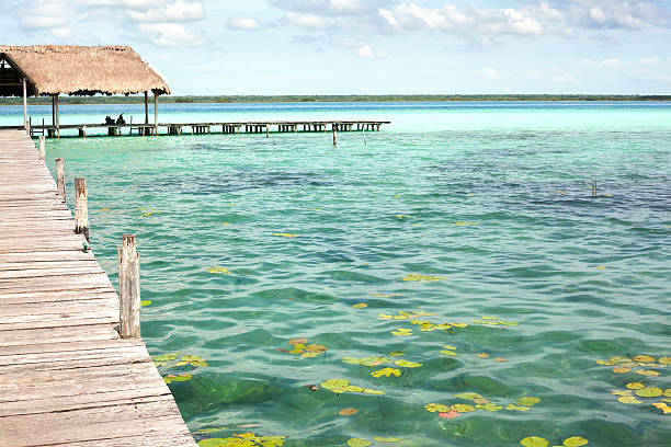 istock dock in the lagoon of Bacalar 2206933915