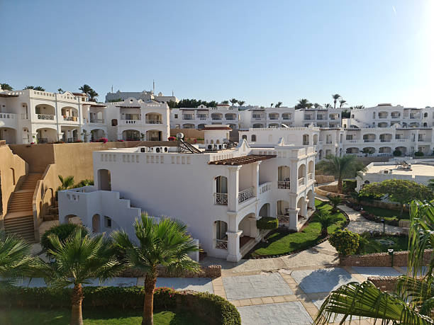 istock white houses and palm trees by the pool 2206934306