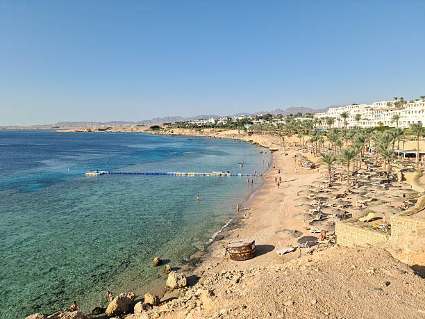 istock sun loungers on the sand on the beach by the sea 2206934310