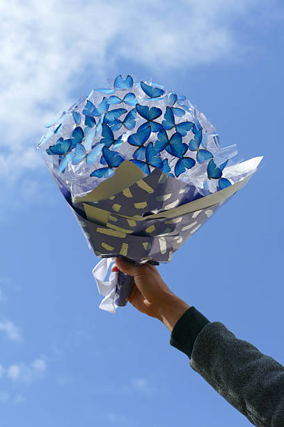 Man's Hand Lifting Unique Butterfly Bouquet to the Sky in Wrocław, Lower Silesian Voivodeship, Poland