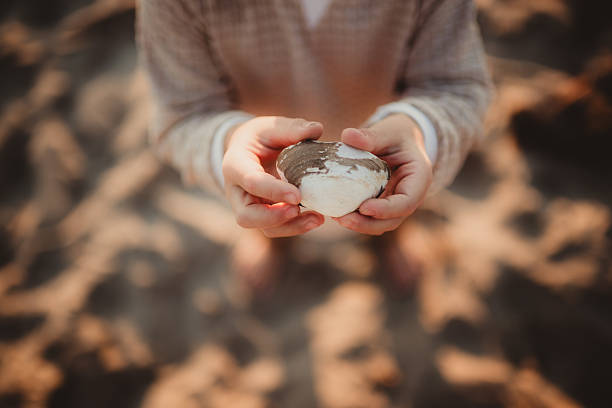 Little boy holding seashell clam on the beach at sunset
