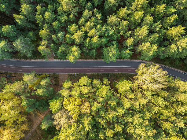 istock Flight over the autumn mountains with road serpentine and deciduous and pine forest. Top down view. 2206943914