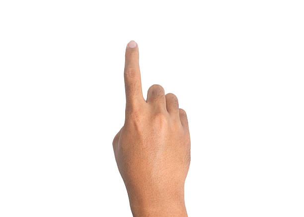 istock male hand touching or pointing gesture isolated on white background 2206944161