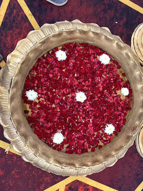 istock Floating White Flowers on Red Rose Petals 2206944457