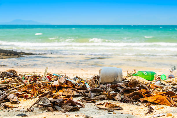 istock trash, plastic cups and plastic bags at the beach. environmental problem concept and healing the world 2206945104