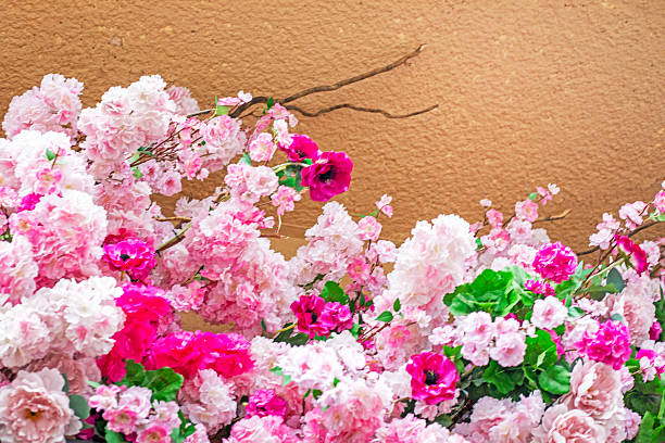 delicate pink flowers and buds on a light background