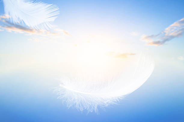 A hand holds a wispy white feather against a blue sky