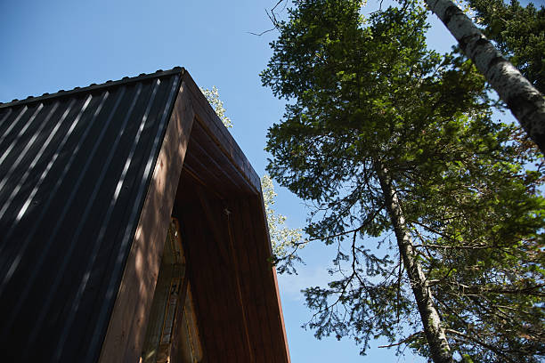 istock View from below of a cabin framed by tall trees against a clear sky 2206952951